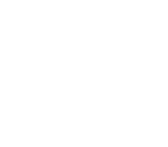 N Street Village
