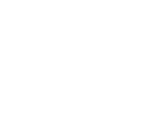 The Urban Insitute