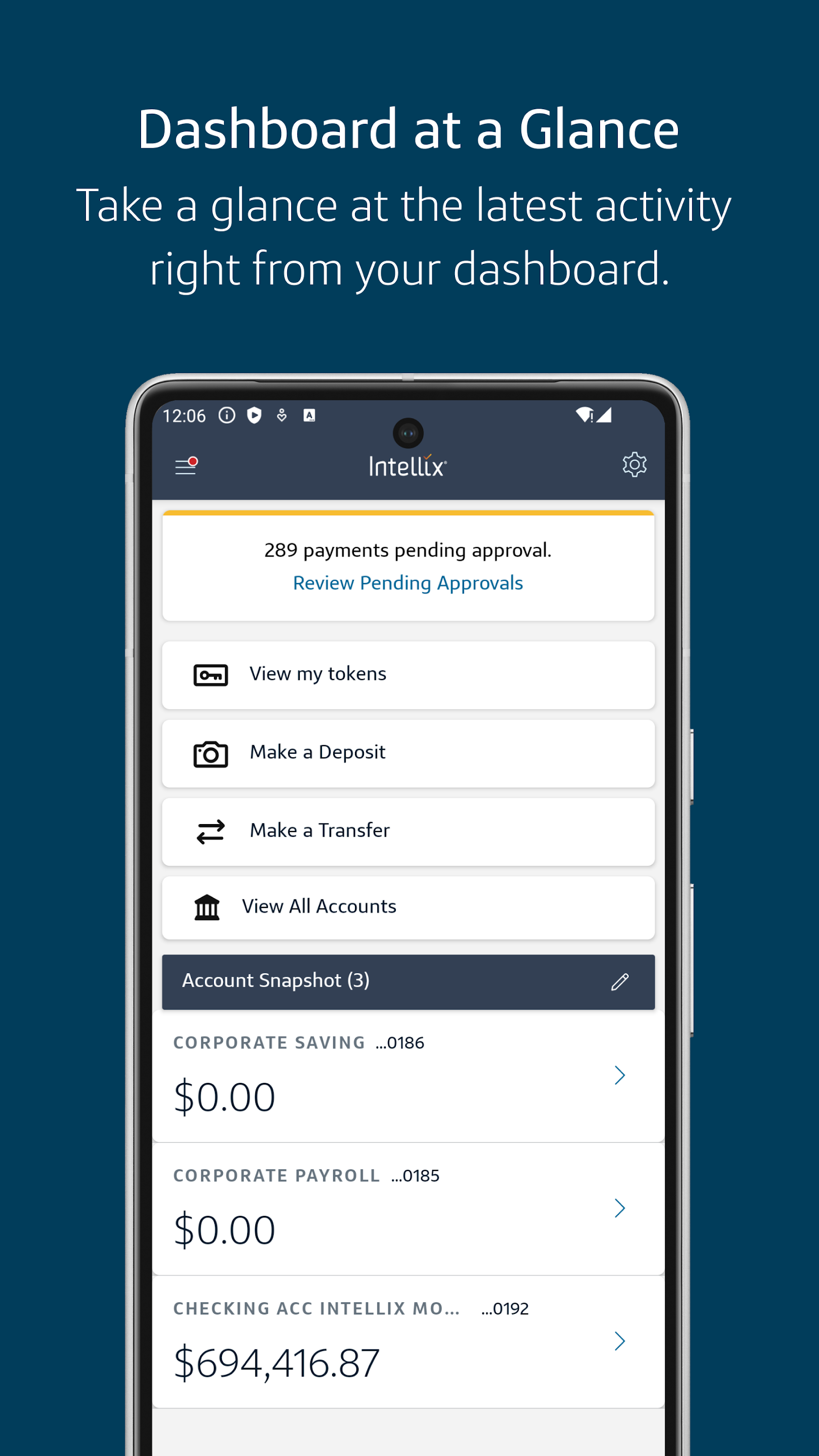 Intellix Mobile dashboard at a glance screen with account snapshot